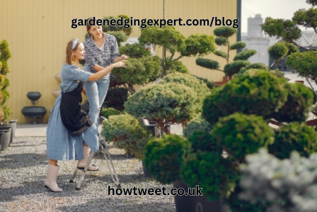 gardenedgingexpert.comblog